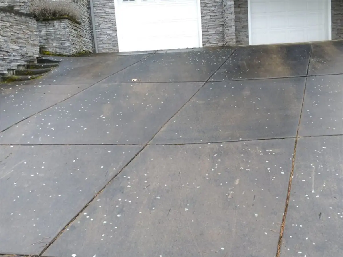 Driveway — before pressure washing