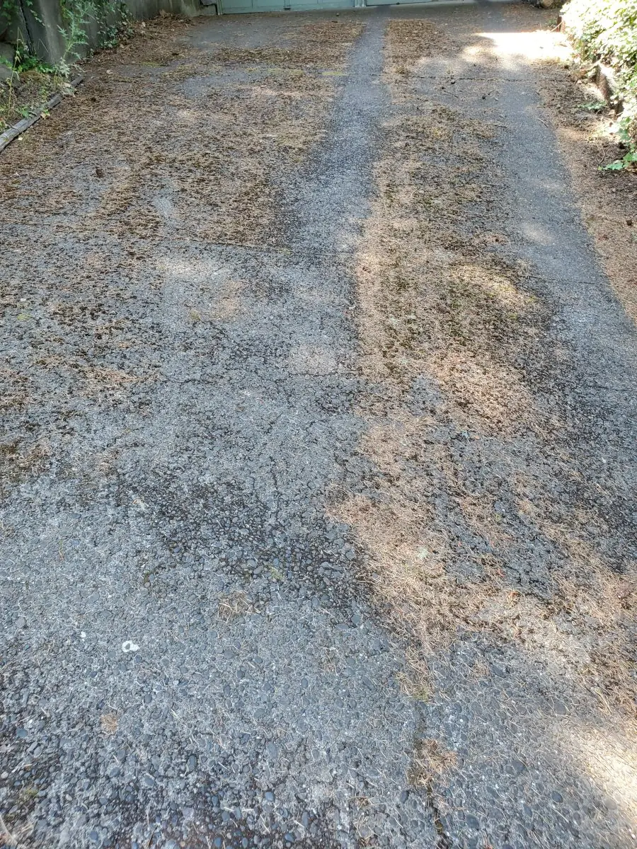 Driveway — before pressure washing