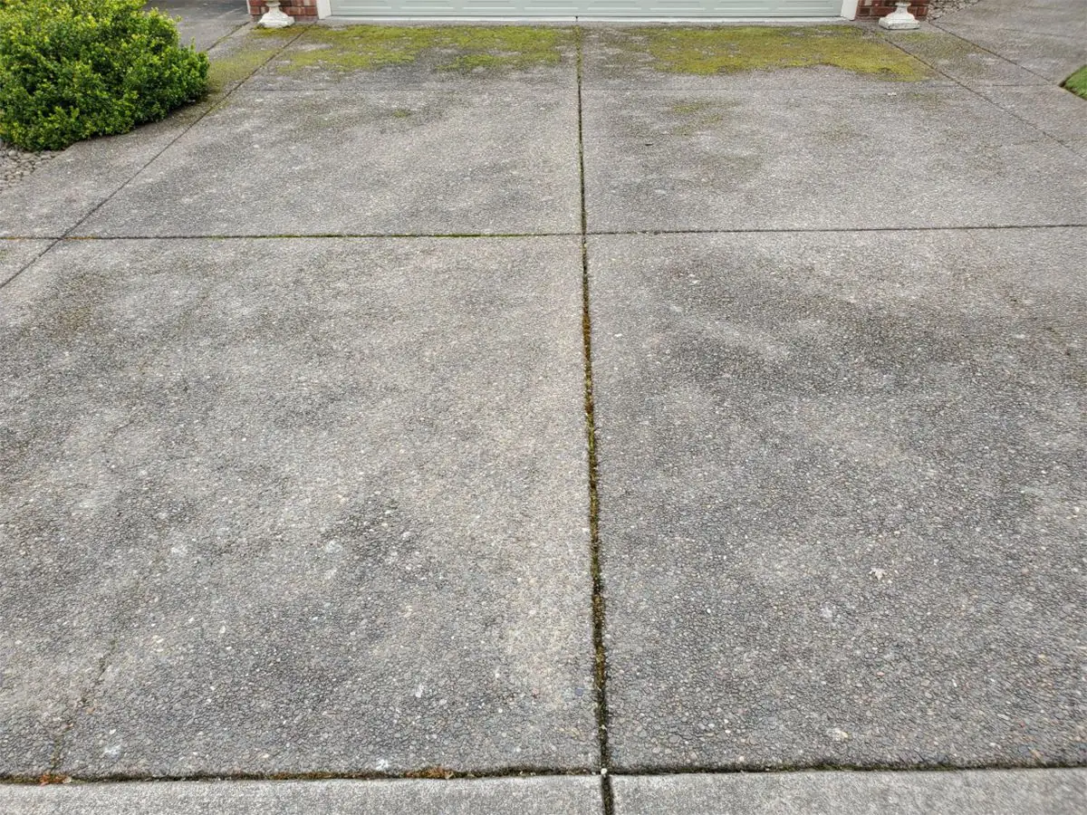 Driveway — before pressure washing