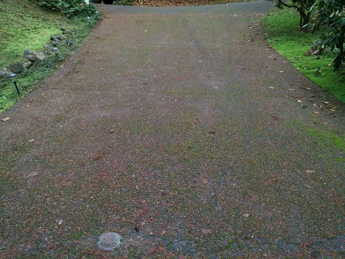 Driveway — before pressure washing