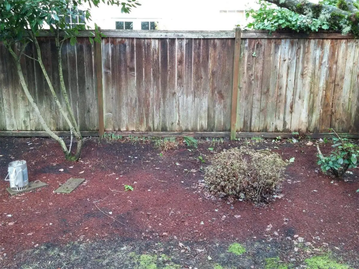 Fence — before pressure washing