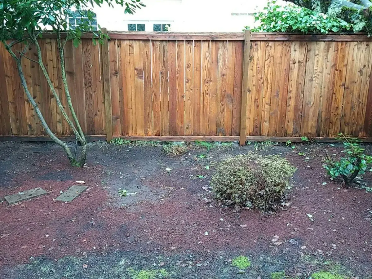 Fence — after pressure washing
