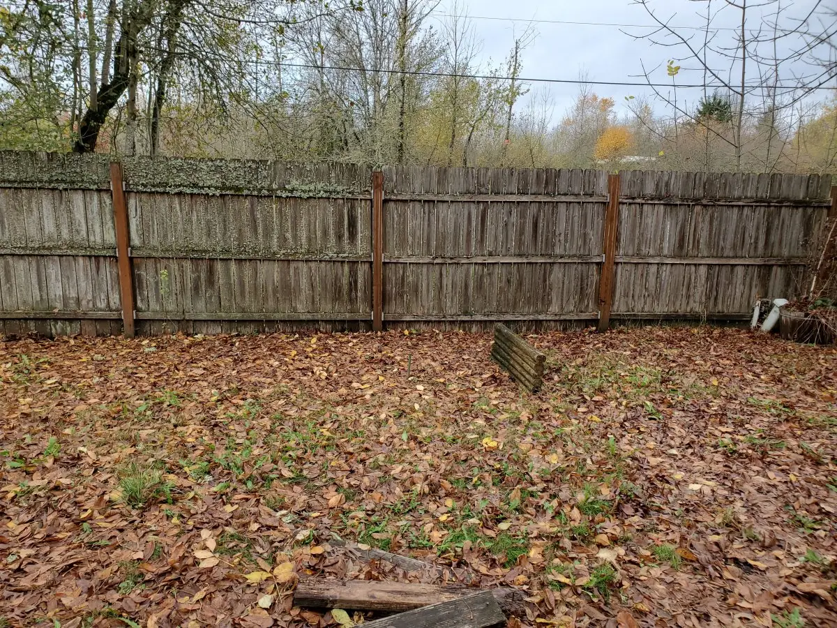 Fence — before pressure washing