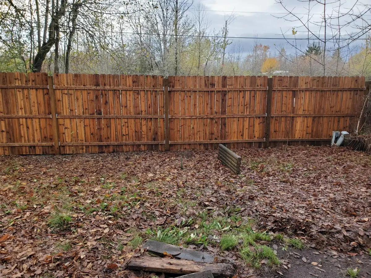 Fence — after pressure washing