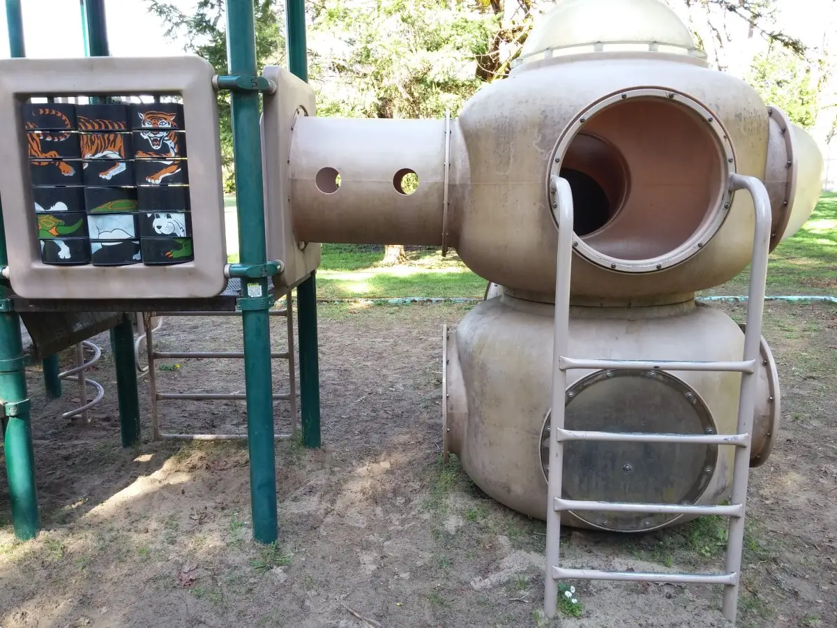 Play Structure — before pressure washing