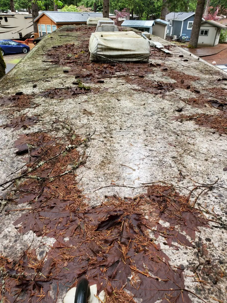 RV Roof — before pressure washing