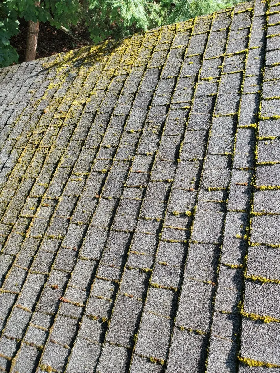 Roof — before pressure washing