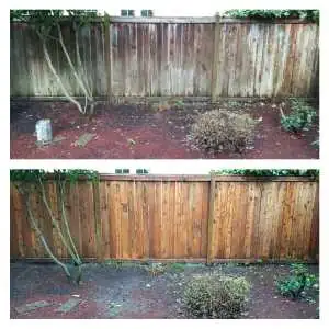 Wood Restoration in Eugene, Oregon