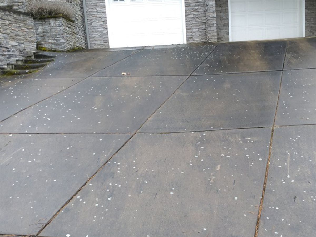 Driveway 2 - Before
