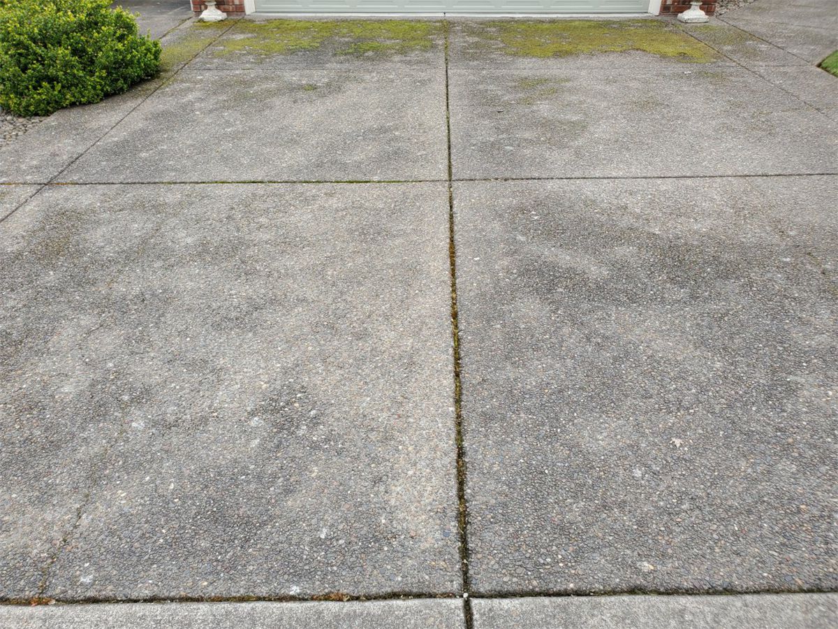 Driveway 4 - Before