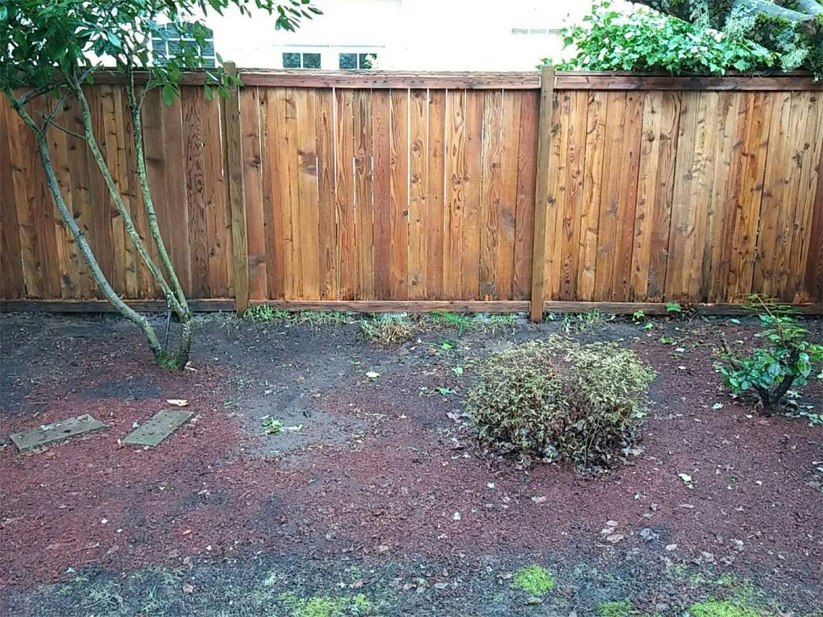 Fence 2 - After