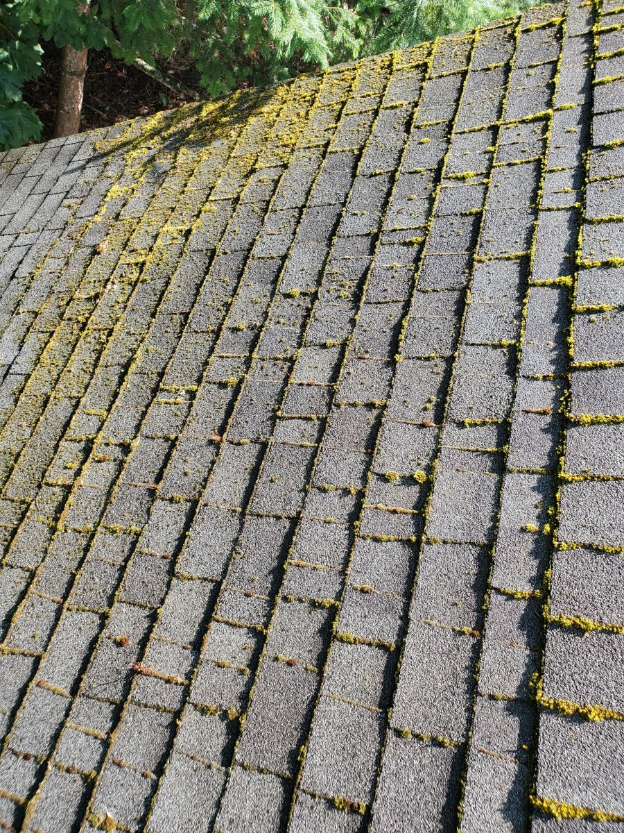 Roof 1 - Before